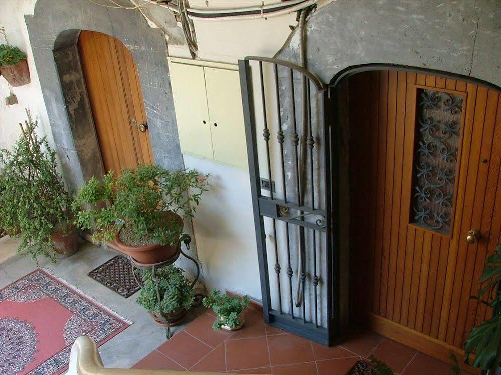 Orchid Corner Guesthouse Meta Bagian luar foto