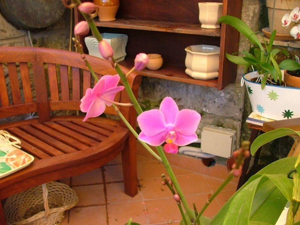 Orchid Corner Guesthouse Meta Bagian luar foto